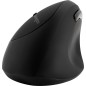 Kensington Pro Fit Ergo Wireless Mouse Trådløs Sort Kensington Pro Fit Ergo Wireless Mouse Trådløs Sort